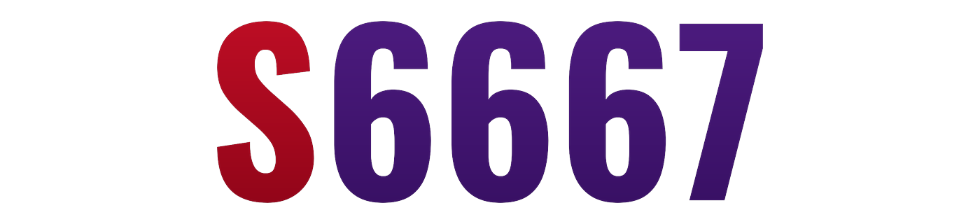 s6667